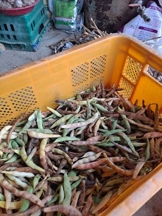 귤20155님의 🎉상반기 결산 자랑하기 · 참여글 작성글 사진