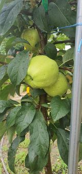 팜모닝 자유주제·자유게시판 게시글 이미지