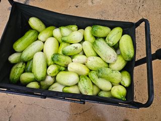 남옥선님의 자유주제 · 자유게시판 작성글 사진