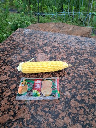 농부의약속님의 작성글 사진