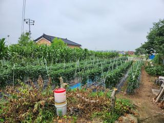 윤춘호 님의 🎉상반기 결산 자랑하기 · 참여글 작성글 사진