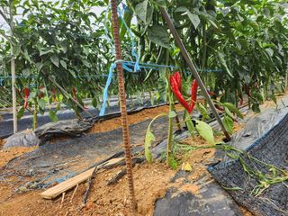 윤춘호 님의 🎉상반기 결산 자랑하기 · 참여글 작성글 사진