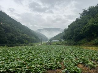 고재명님의 🎉상반기 결산 자랑하기 · 참여글 작성글 사진