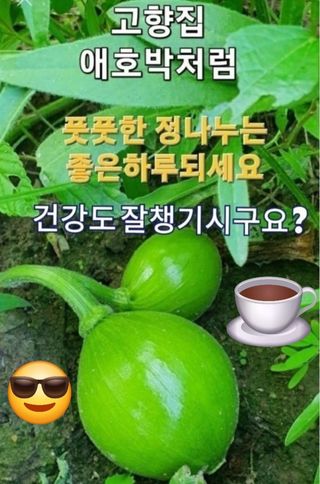 김길영 님의 최고의 제초제는 무엇인가요?🌿 · 참여글 작성글 사진