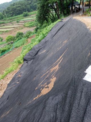 자연인님의 자유주제 · 자유게시판 작성글 사진