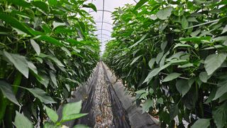 향적농원(정은상)님의 🎉상반기 결산 자랑하기 · 참여글 작성글 사진