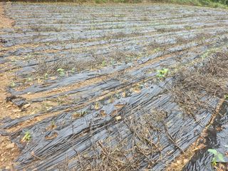 찬우맘님의 🎉상반기 결산 자랑하기 · 참여글 작성글 사진