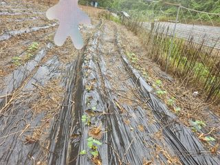 찬우맘님의 🎉상반기 결산 자랑하기 · 참여글 작성글 사진