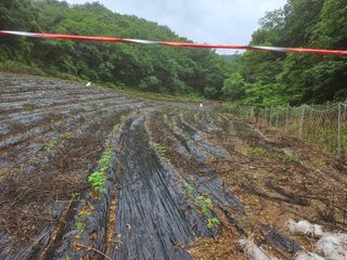 찬우맘님의 🎉상반기 결산 자랑하기 · 참여글 작성글 사진