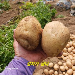 산양 위만(엄문섭)님의 🎉상반기 결산 자랑하기 · 참여글 작성글 사진