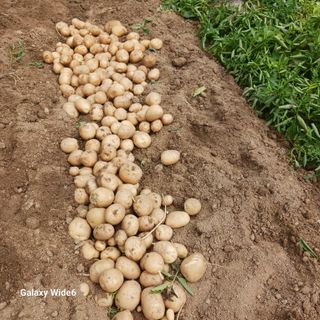 산양 위만(엄문섭)님의 🎉상반기 결산 자랑하기 · 참여글 작성글 사진