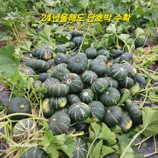 산양 위만(엄문섭)님의 🎉상반기 결산 자랑하기 · 참여글 작성글 사진