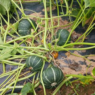 산양 위만(엄문섭)님의 🎉상반기 결산 자랑하기 · 참여글 작성글 사진