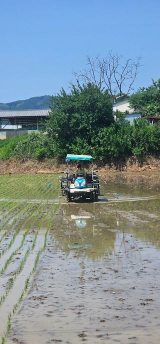 산양 위만(엄문섭)님의 🎉상반기 결산 자랑하기 · 참여글 작성글 사진