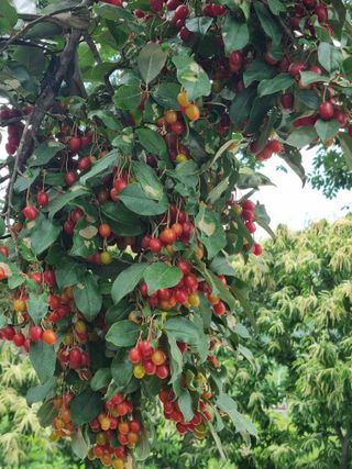 하모니님의 🎉상반기 결산 자랑하기 · 참여글 작성글 사진