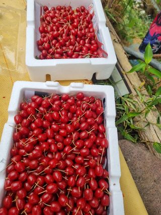 하모니님의 🎉상반기 결산 자랑하기 · 참여글 작성글 사진