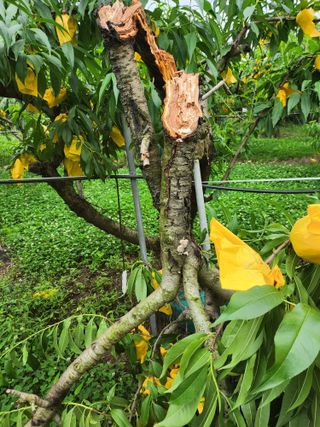 ok 체험학습농원님의 자유주제 · 자유게시판 작성글 사진