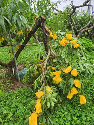 ok 체험학습농원님의 자유주제 · 자유게시판 작성글 사진