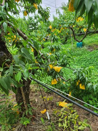 ok 체험학습농원님의 자유주제 · 자유게시판 작성글 사진