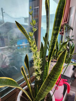 머루포도주님의 자유주제 · 자유게시판 작성글 사진