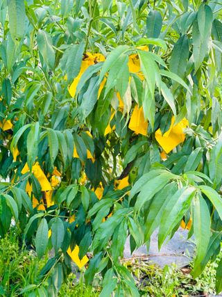 최경민(두나무농장)님의 🎉상반기 결산 자랑하기 · 참여글 작성글 사진