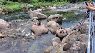 태능김동수님의 🎉상반기 결산 자랑하기 · 참여글 작성글 사진