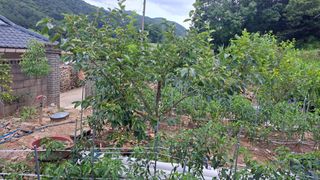 태능김동수님의 🎉상반기 결산 자랑하기 · 참여글 작성글 사진