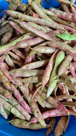 태능김동수님의 🎉상반기 결산 자랑하기 · 참여글 작성글 사진