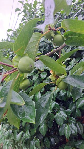태능김동수님의 🎉상반기 결산 자랑하기 · 참여글 작성글 사진