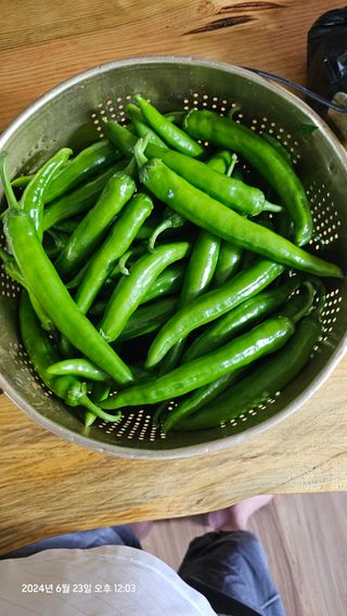 알 수 없음님의 🎉상반기 결산 자랑하기 · 참여글 작성글 사진