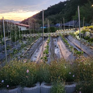 여병현님의 🎉상반기 결산 자랑하기 · 참여글 작성글 사진