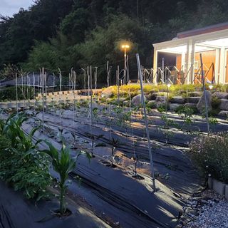 여병현님의 🎉상반기 결산 자랑하기 · 참여글 작성글 사진