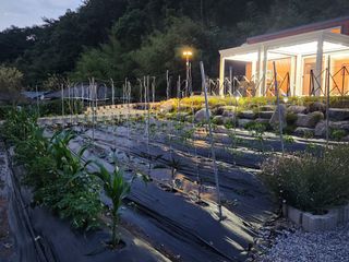 여병현님의 🎉상반기 결산 자랑하기 · 참여글 작성글 사진