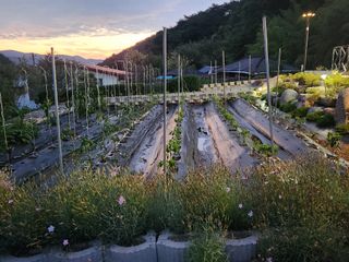 여병현님의 🎉상반기 결산 자랑하기 · 참여글 작성글 사진