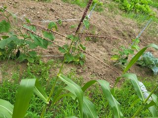 조상희님의 자유주제 · 자유게시판 작성글 사진