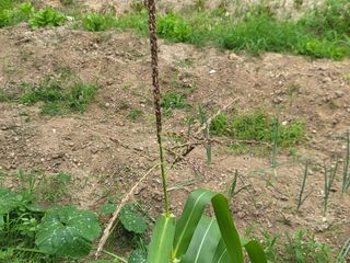 조상희님의 자유주제 · 자유게시판 작성글 사진