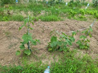 조상희님의 자유주제 · 자유게시판 작성글 사진