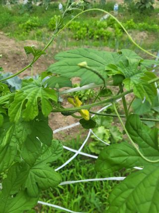 조상희님의 자유주제 · 자유게시판 작성글 사진