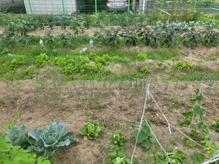 조상희님의 자유주제 · 자유게시판 작성글 사진