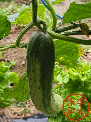 이용수님의 🎉상반기 결산 자랑하기 · 참여글 작성글 사진