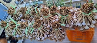 김영만님의 🎉상반기 결산 자랑하기 · 참여글 작성글 사진