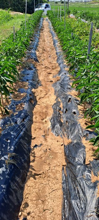 김영만님의 🎉상반기 결산 자랑하기 · 참여글 작성글 사진