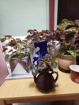 팜모닝 🎉상반기 결산 자랑하기·참여글 게시글 이미지