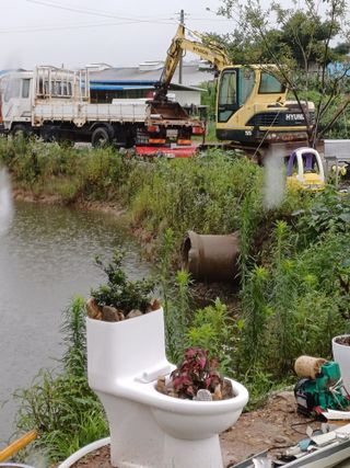 연꽃토하농장~미꾸리님의 🎉상반기 결산 자랑하기 · 참여글 작성글 사진