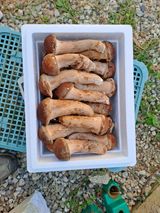 팜모닝 🎉상반기 결산 자랑하기·참여글 게시글 이미지