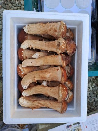 김병만님의 🎉상반기 결산 자랑하기 · 참여글 작성글 사진