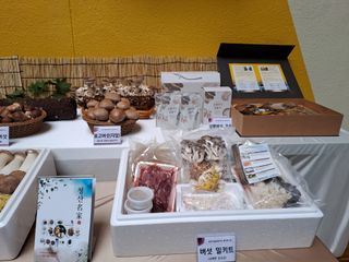 김병만님의 🎉상반기 결산 자랑하기 · 참여글 작성글 사진