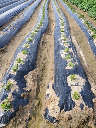 최남옥님의 🎉상반기 결산 자랑하기 · 참여글 작성글 사진