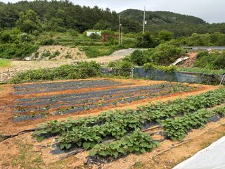 서수원님의 🎉상반기 결산 자랑하기 · 참여글 작성글 사진