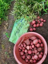 팜모닝 농사, 무엇이든 물어보세요!·참여글 게시글 이미지